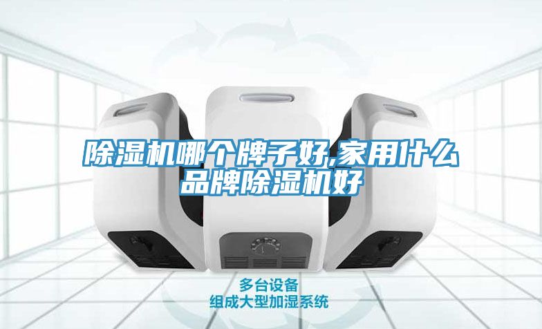 亚洲欧美一级特黄大片 除湿机哪个牌子好,家用什么品牌除湿机好