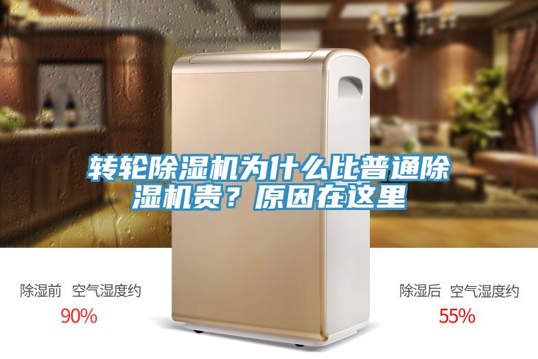 亚洲人成综合第一网站 转轮除湿机为什么比普通除湿机贵？原因在这里