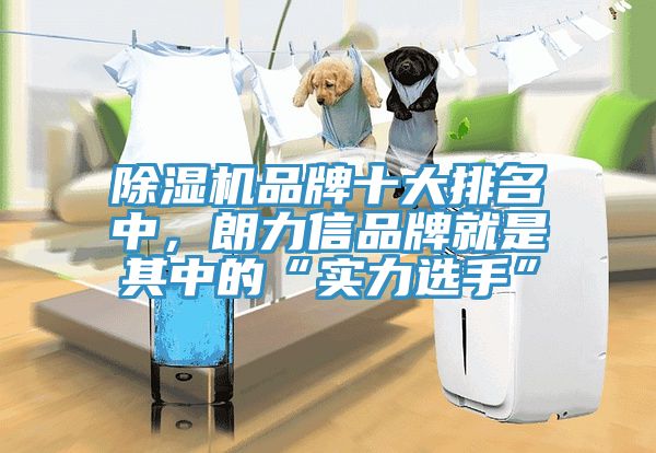 亚洲欧美一级特黄大片 除湿机品牌十大排名中，朗力信品牌就是其中的“实力选手”