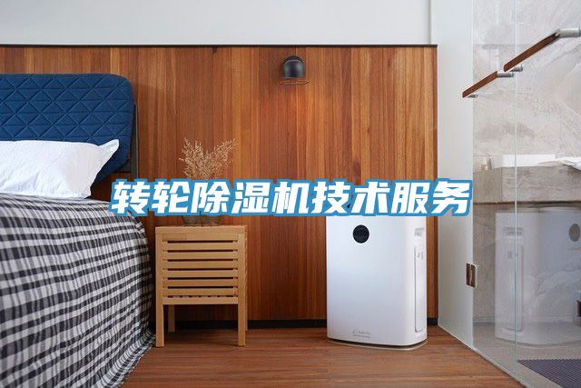 亚洲人成综合第一网站 转轮除湿机技术服务