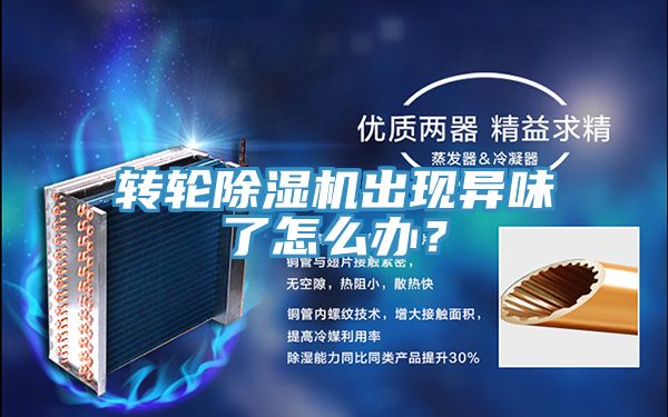 亚洲欧美一级特黄大片 转轮除湿机出现异味了怎么办？