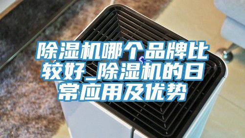 亚洲欧美一级特黄大片 除湿机哪个品牌比较好_除湿机的日常应用及优势
