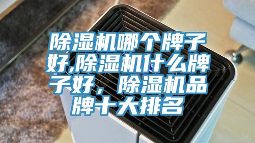 亚洲乱码一区二区三区 除湿机哪个牌子好,除湿机什么牌子好，除湿机品牌十大排名