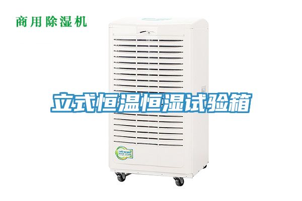 亚洲欧美一级特黄大片 立式恒温恒湿试验箱