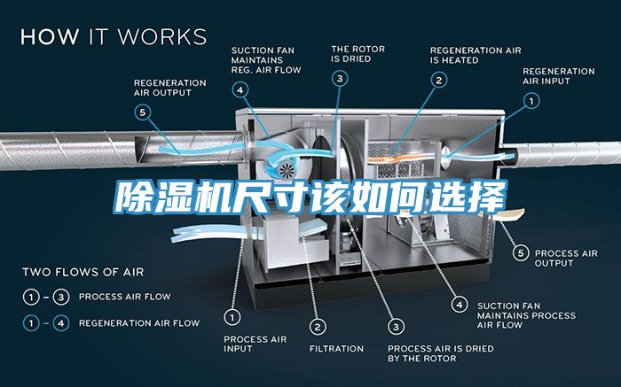 亚洲人成综合第一网站 除湿机尺寸该如何选择
