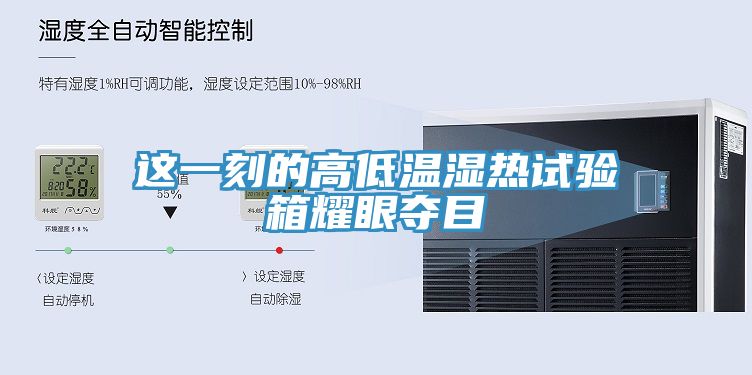 亚洲乱码一区二区三区 这一刻的高低温湿热试验箱耀眼夺目