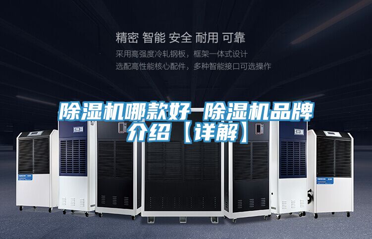 亚洲人成综合第一网站 除湿机哪款好 除湿机品牌介绍【详解】