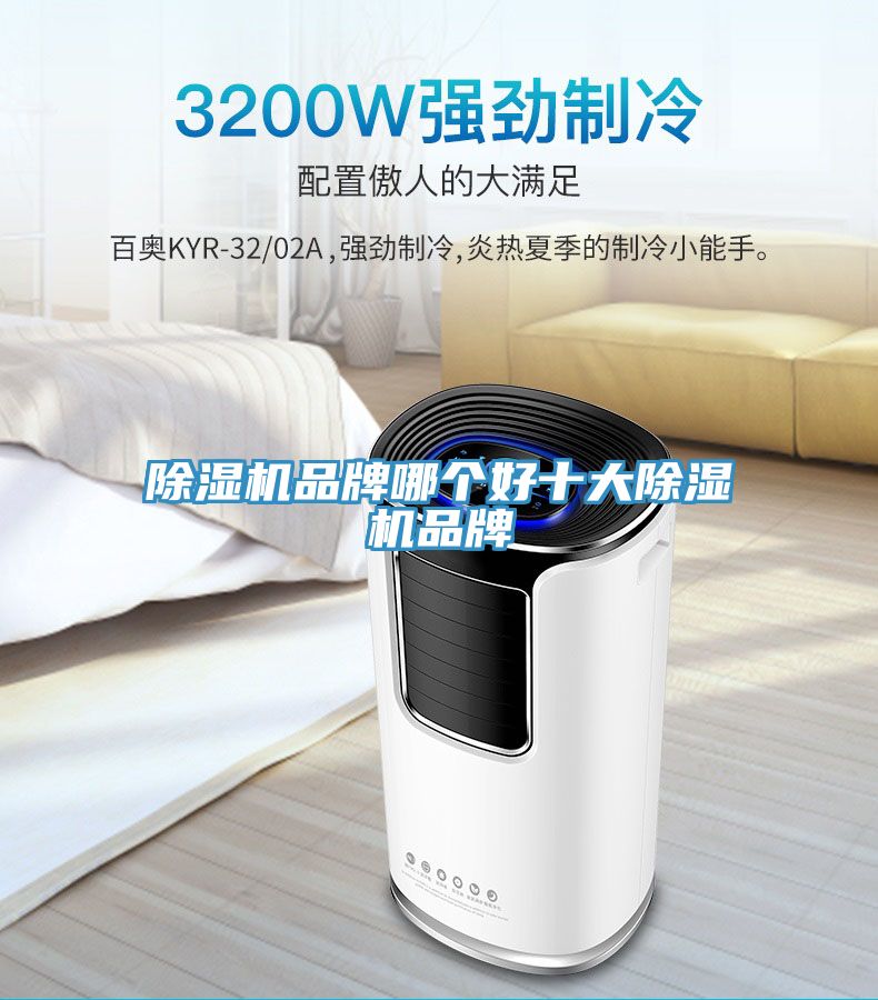 亚洲欧美一级特黄大片 除湿机品牌哪个好十大除湿机品牌