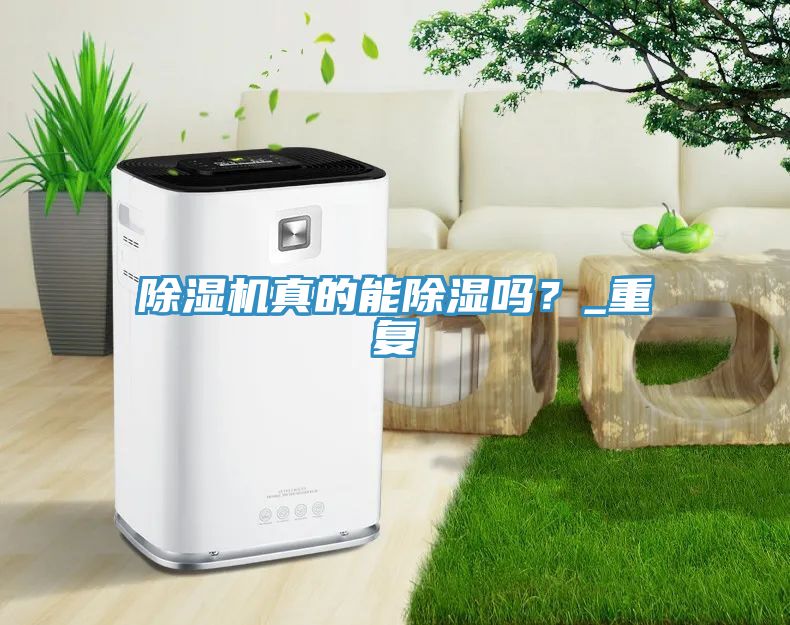 亚洲人成综合第一网站 除湿机真的能除湿吗？_重复