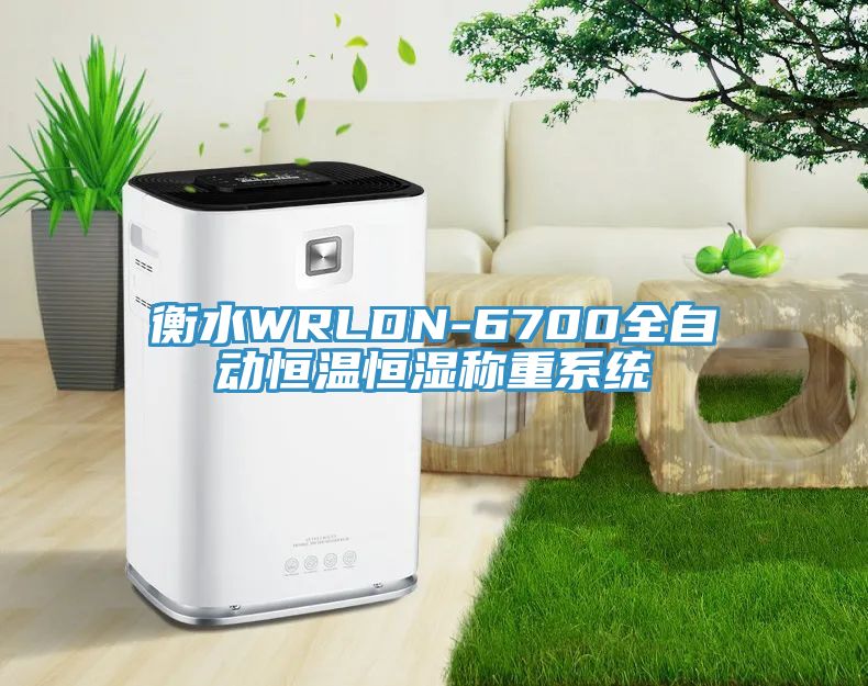 亚洲人成综合第一网站 衡水WRLDN-6700全自动恒温恒湿称重系统