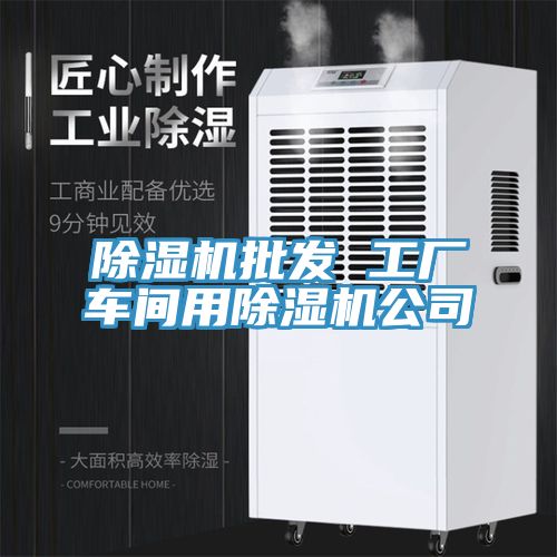 亚洲人成综合第一网站 除湿机批发 工厂车间用除湿机公司