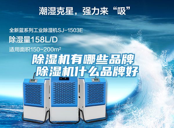 亚洲乱码一区二区三区 除湿机有哪些品牌 除湿机什么品牌好