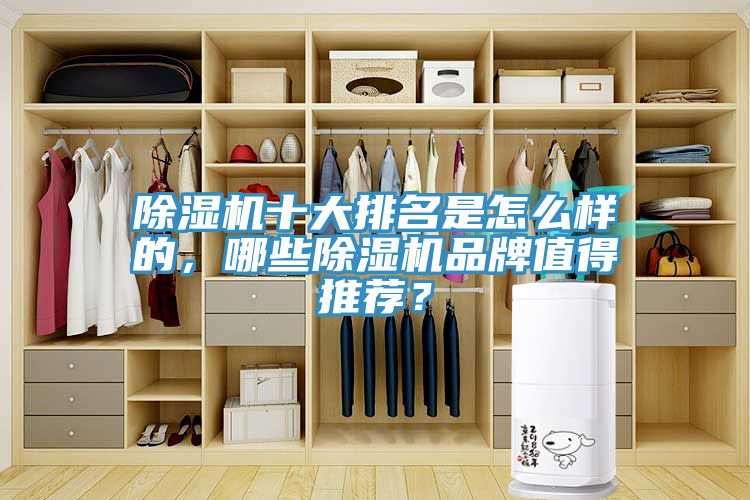 亚洲欧美一级特黄大片 除湿机十大排名是怎么样的，哪些除湿机品牌值得推荐？