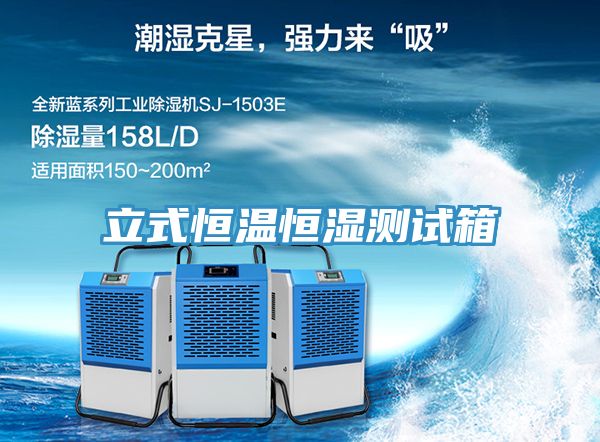 亚洲欧美一级特黄大片 立式恒温恒湿测试箱