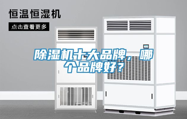 亚洲人成综合第一网站 除湿机十大品牌，哪个品牌好？