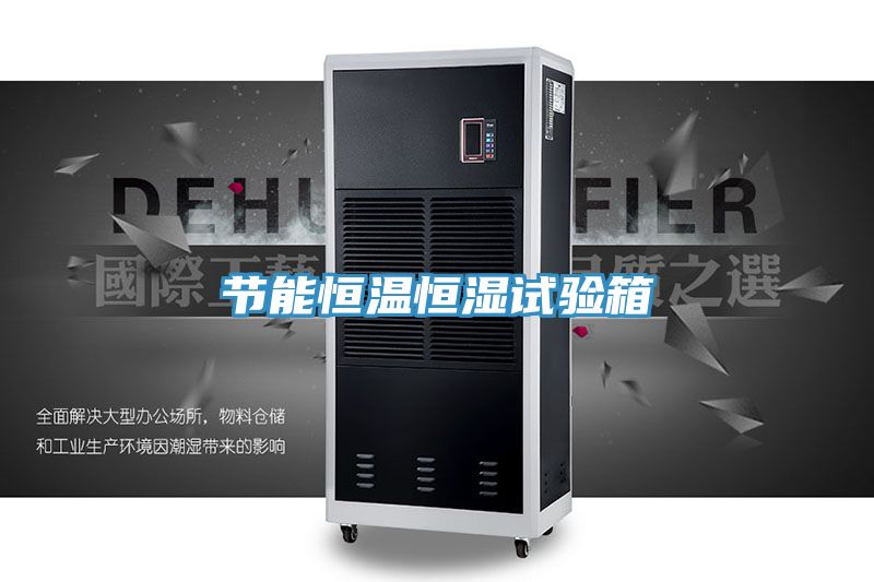 亚洲欧美一级特黄大片 节能恒温恒湿试验箱