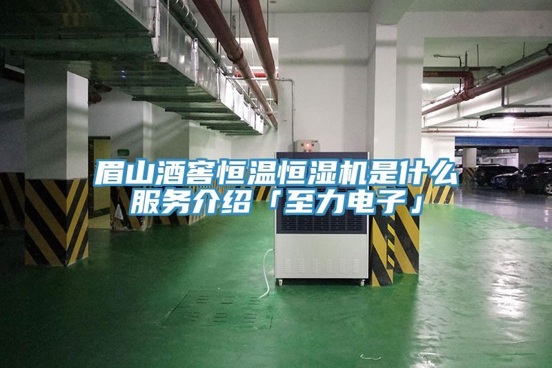 亚洲乱码一区二区三区 眉山酒窖恒温恒湿机是什么服务介绍「至力电子」