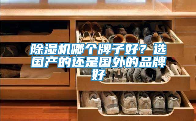 亚洲人成综合第一网站 除湿机哪个牌子好？选国产的还是国外的品牌好