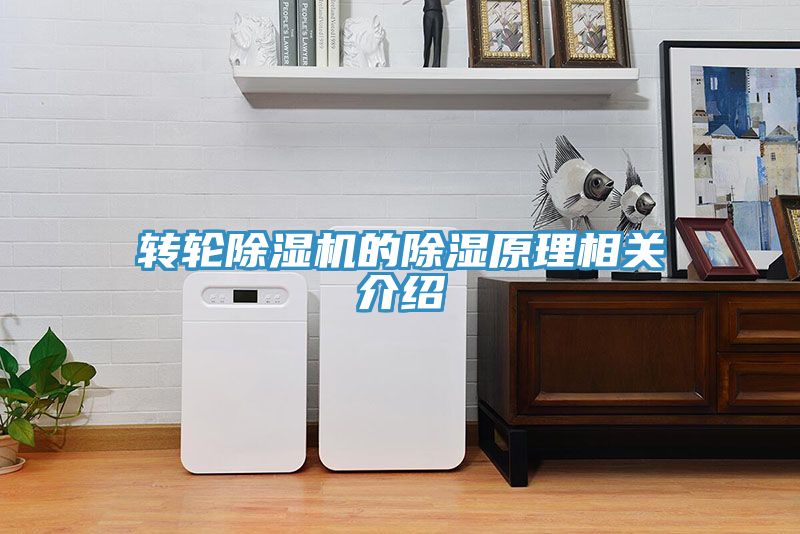 亚洲欧美一级特黄大片 转轮除湿机的除湿原理相关介绍