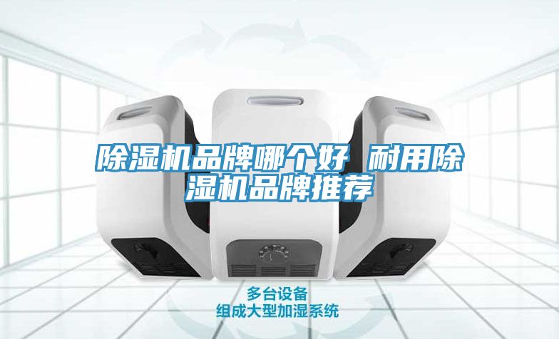 亚洲人成综合第一网站 除湿机品牌哪个好 耐用除湿机品牌推荐