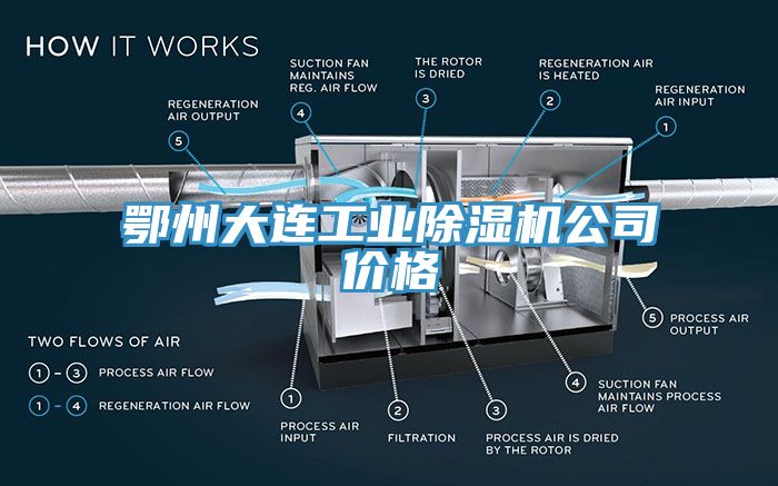 亚洲欧美一级特黄大片 鄂州大连工业除湿机公司价格