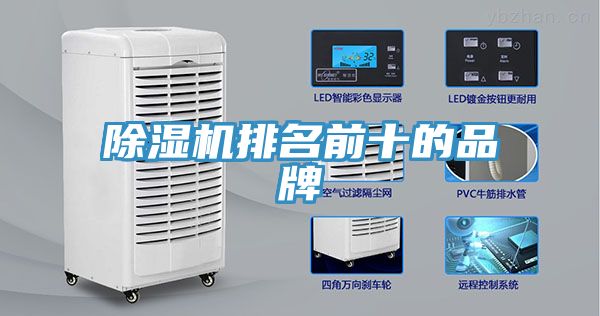 亚洲人成综合第一网站 除湿机排名前十的品牌