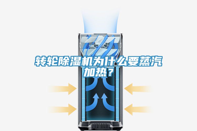 亚洲欧美一级特黄大片 转轮除湿机为什么要蒸汽加热？