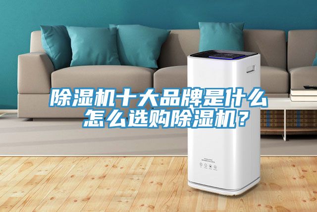 亚洲人成综合第一网站 除湿机十大品牌是什么 怎么选购除湿机？