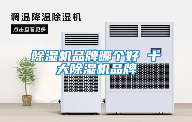 亚洲欧美一级特黄大片 除湿机品牌哪个好 十大除湿机品牌