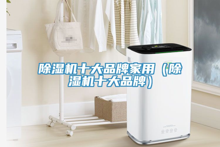 亚洲欧美一级特黄大片 除湿机十大品牌家用（除湿机十大品牌）