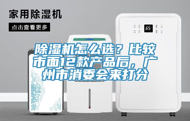 亚洲欧美一级特黄大片 除湿机怎么选？比较市面12款产品后，广州市消委会来打分