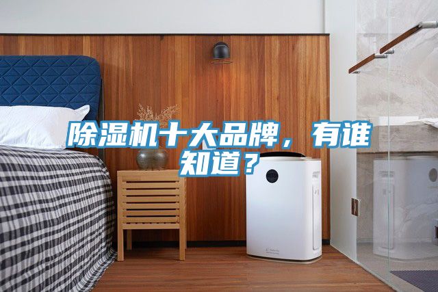亚洲人成综合第一网站 除湿机十大品牌，有谁知道？