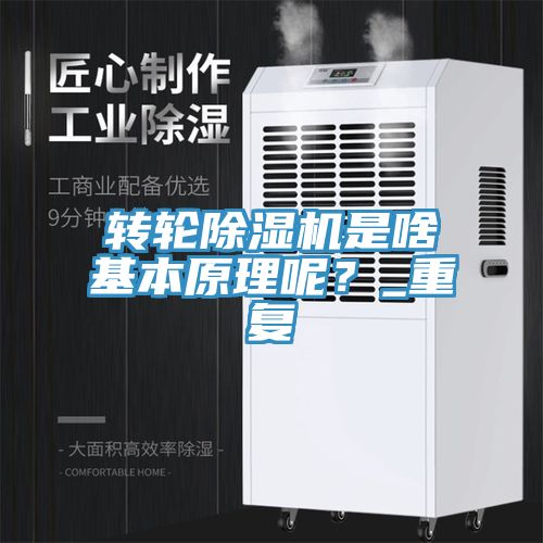亚洲人成综合第一网站 转轮除湿机是啥基本原理呢？_重复