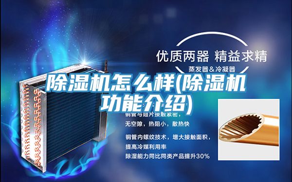 亚洲乱码一区二区三区 除湿机怎么样(除湿机功能介绍)