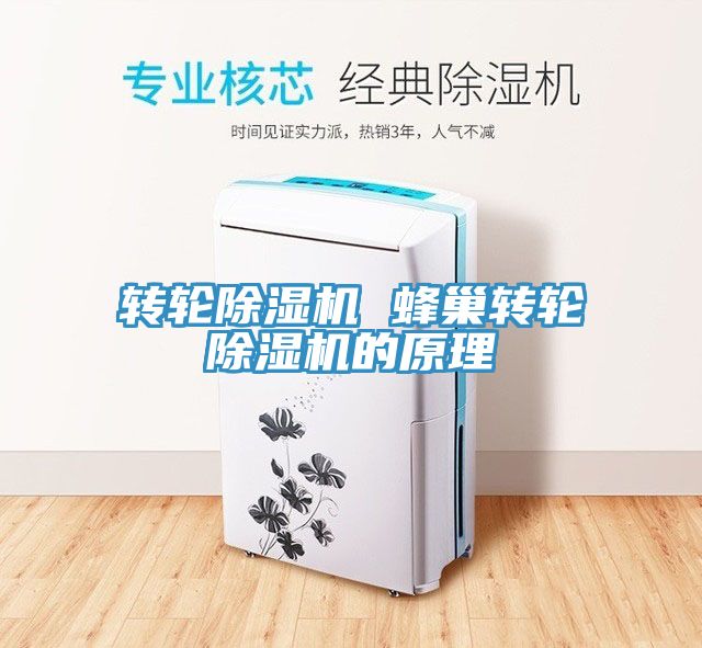 亚洲欧美一级特黄大片 转轮除湿机 蜂巢转轮除湿机的原理