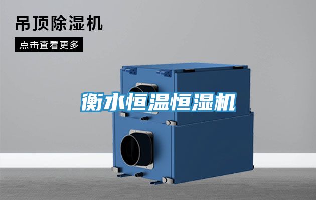 亚洲欧美一级特黄大片 衡水恒温恒湿机