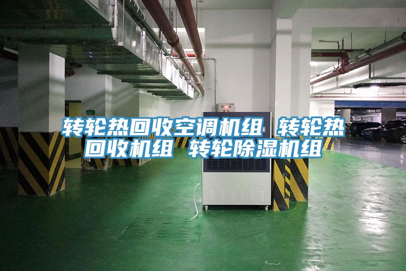 亚洲欧美一级特黄大片 转轮热回收空调机组 转轮热回收机组 转轮除湿机组