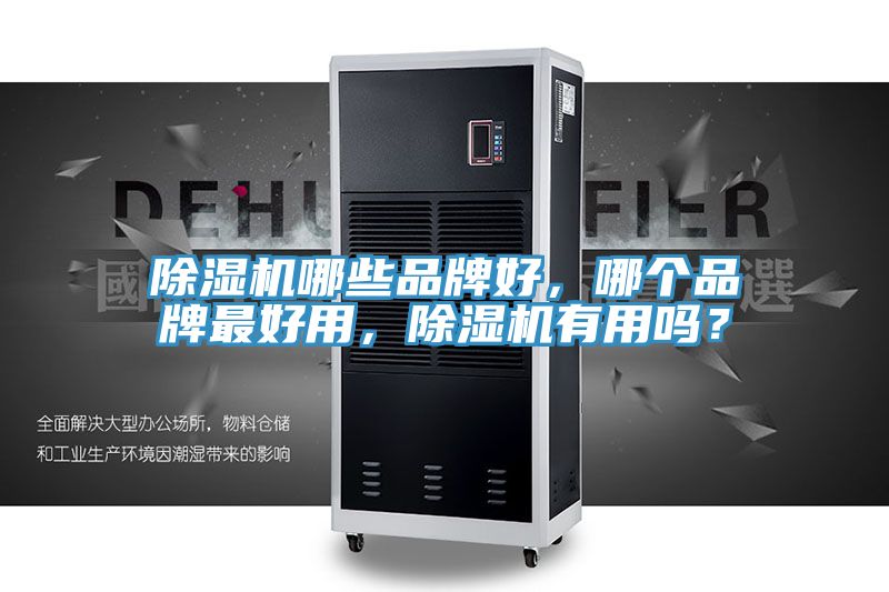 亚洲欧美一级特黄大片 除湿机哪些品牌好，哪个品牌最好用，除湿机有用吗？
