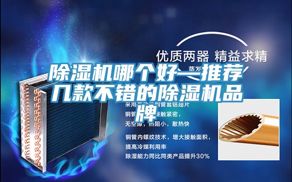 亚洲乱码一区二区三区 除湿机哪个好—推荐几款不错的除湿机品牌