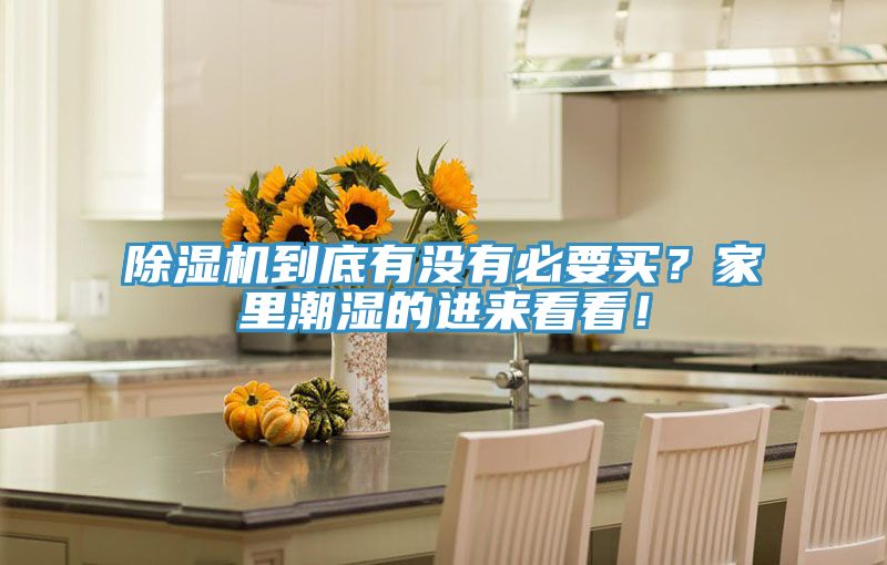 亚洲乱码一区二区三区 除湿机到底有没有必要买？家里潮湿的进来看看！