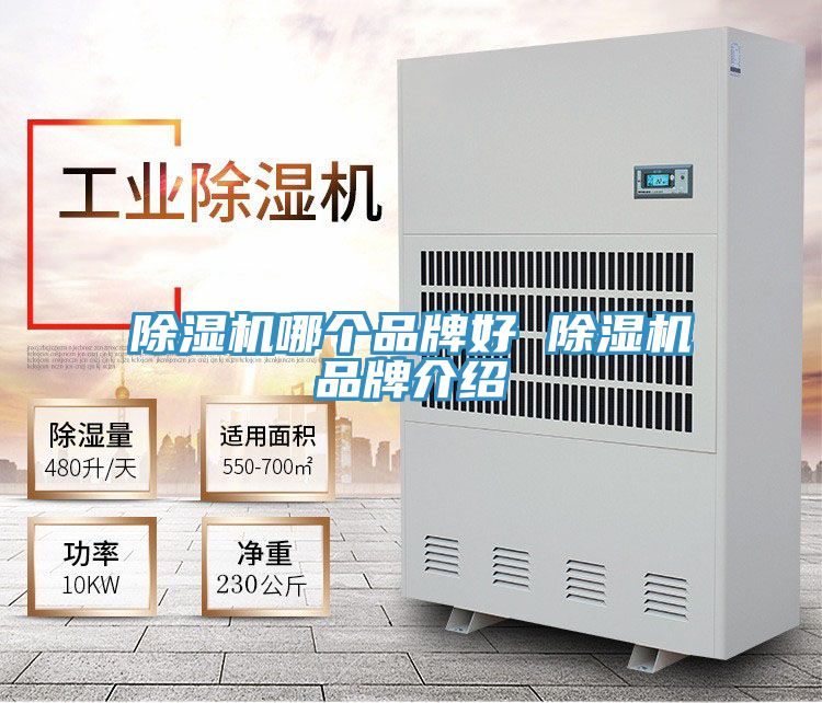 亚洲乱码一区二区三区 除湿机哪个品牌好 除湿机品牌介绍