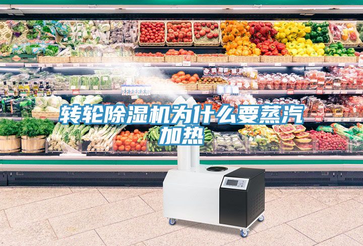 亚洲欧美一级特黄大片 转轮除湿机为什么要蒸汽加热