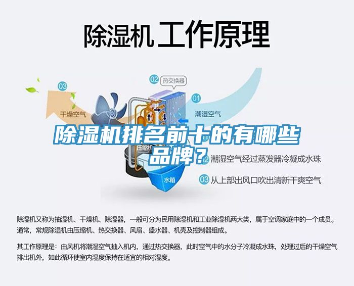 亚洲乱码一区二区三区 除湿机排名前十的有哪些品牌？