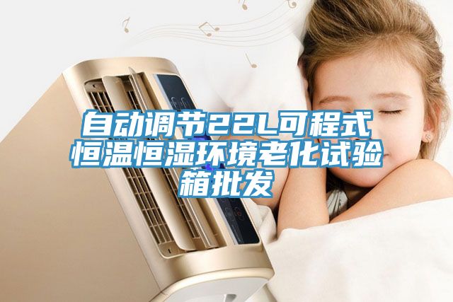 亚洲乱码一区二区三区 自动调节22L可程式恒温恒湿环境老化试验箱批发