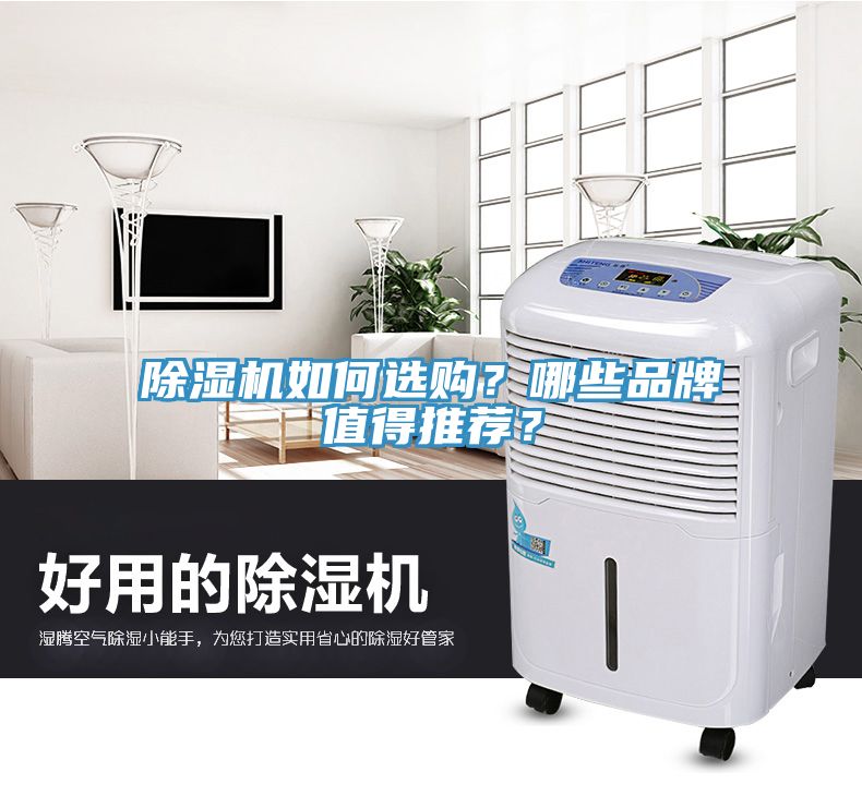亚洲欧美一级特黄大片 除湿机如何选购？哪些品牌值得推荐？