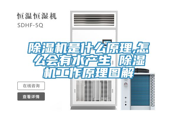 亚洲人成综合第一网站 除湿机是什么原理,怎么会有水产生 除湿机工作原理图解