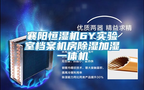 亚洲人成综合第一网站 襄阳恒湿机6Y实验室档案机房除湿加湿一体机