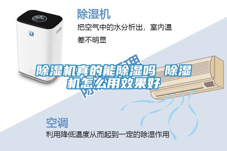 亚洲人成综合第一网站 除湿机真的能除湿吗 除湿机怎么用效果好