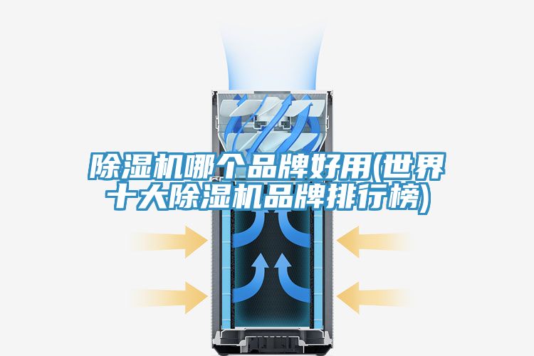 亚洲欧美一级特黄大片 除湿机哪个品牌好用(世界十大除湿机品牌排行榜)