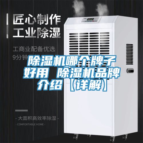 亚洲乱码一区二区三区 除湿机哪个牌子好用 除湿机品牌介绍【详解】